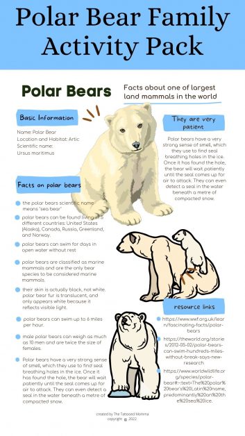 pinterest pin for polar bear family activity pack with basic polar bear information and fun facts. 