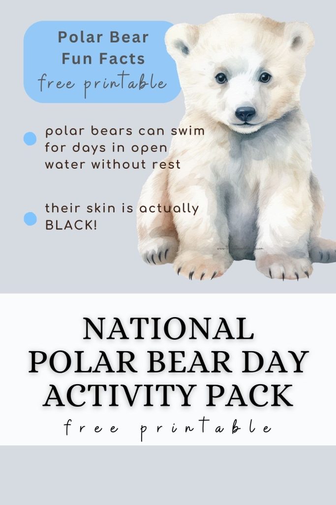 cute polar bear cub sitting down with some fun facts written to the left side of him and the caption "national polar bear day activity pack. free printable"